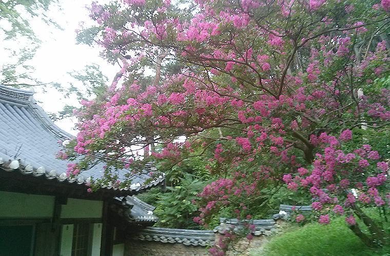 Okyeon Jeongsa Bed & Breakfast Andong Eksteriør bilde