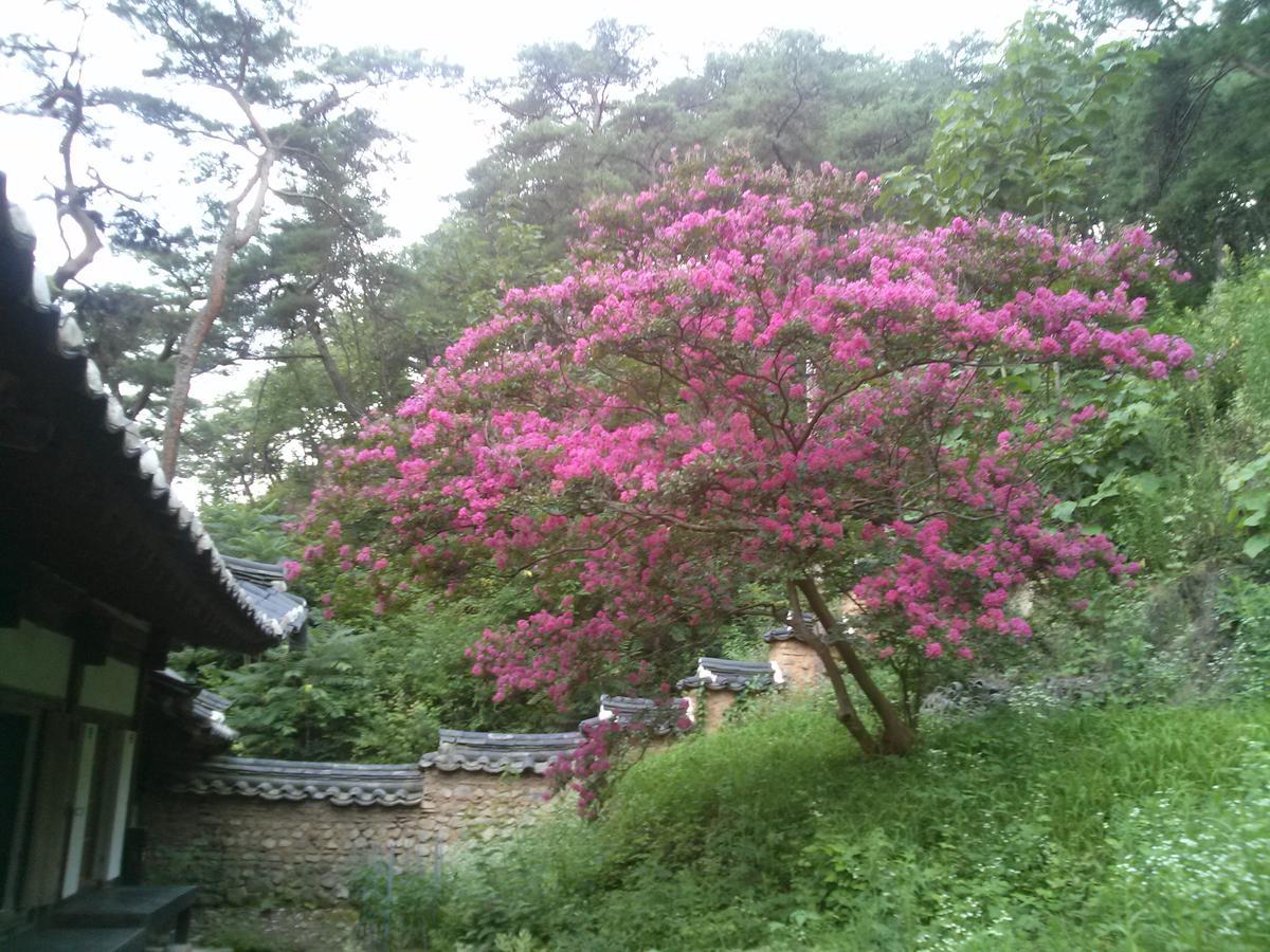 Okyeon Jeongsa Bed & Breakfast Andong Eksteriør bilde